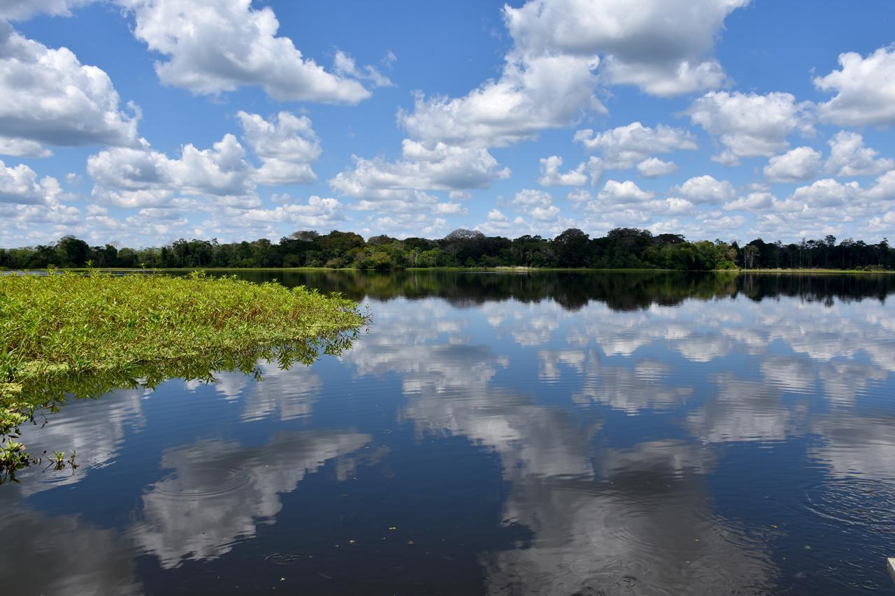 Yaku Amazon Lodge & Expeditions Paraiso Екстер'єр фото